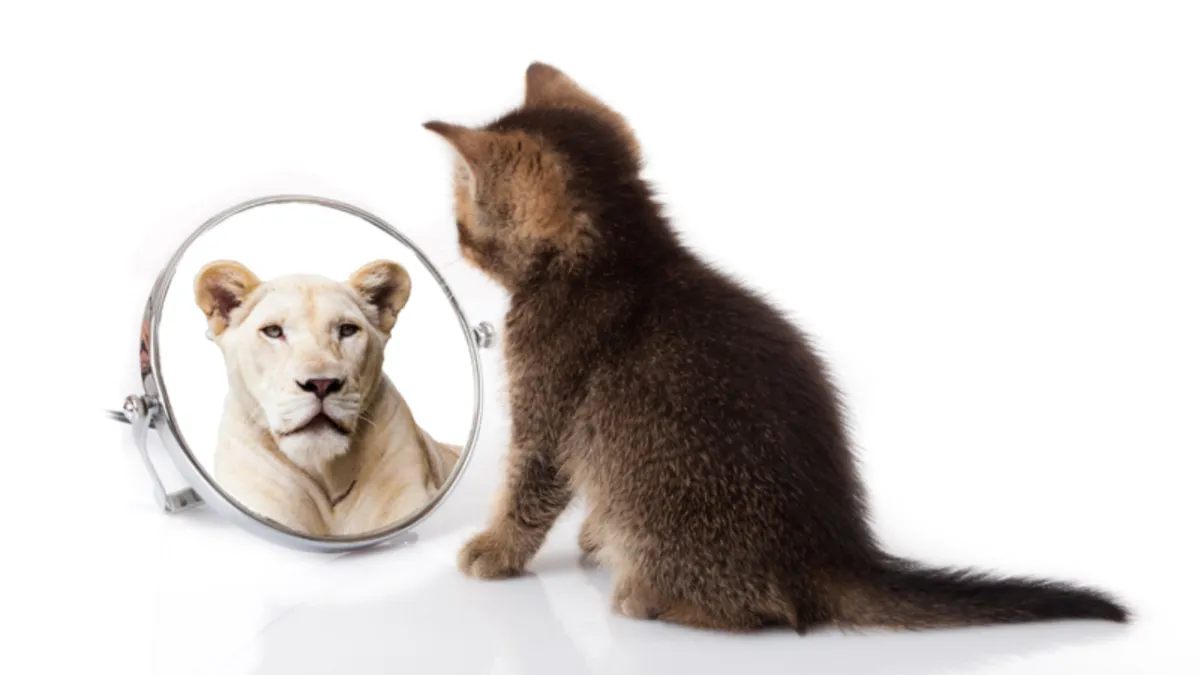 The Connection Between Self Confidence And Courage