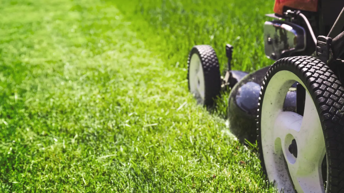 Lawn mower cutting freshly mowed grass - Perfect Trim Lawn & Landscaping - lawn care services - in Antioch