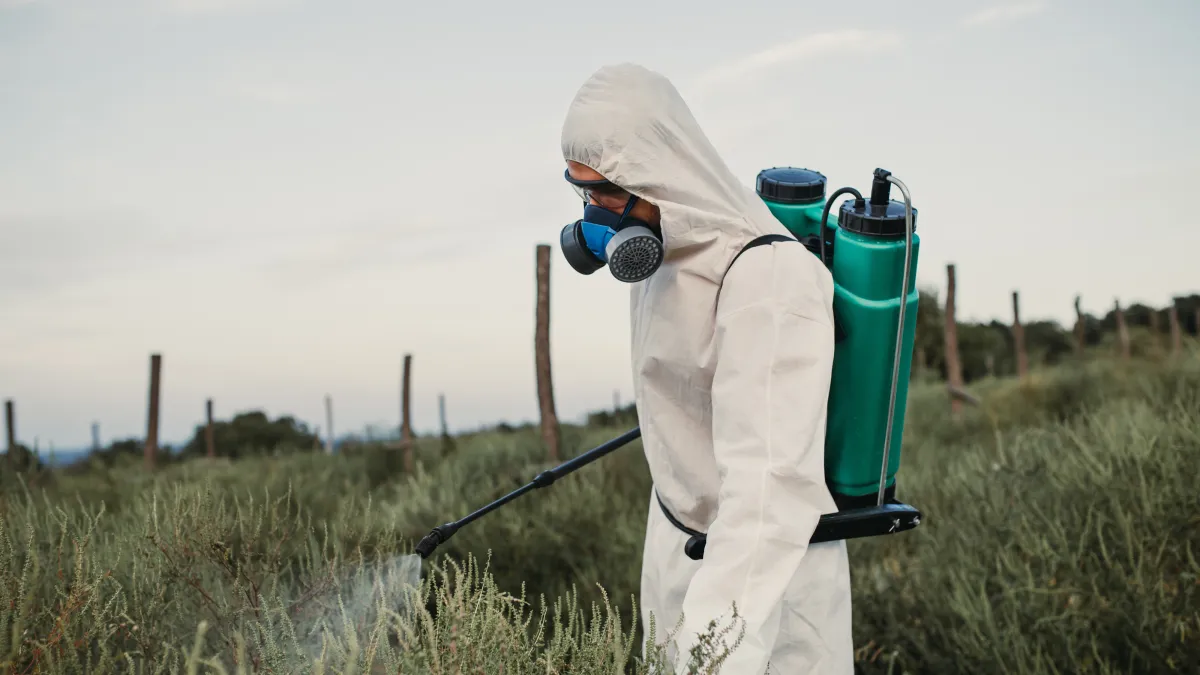 Professional weed control spraying service - Perfect Trim Lawn & Landscaping - weed control services in Antioch