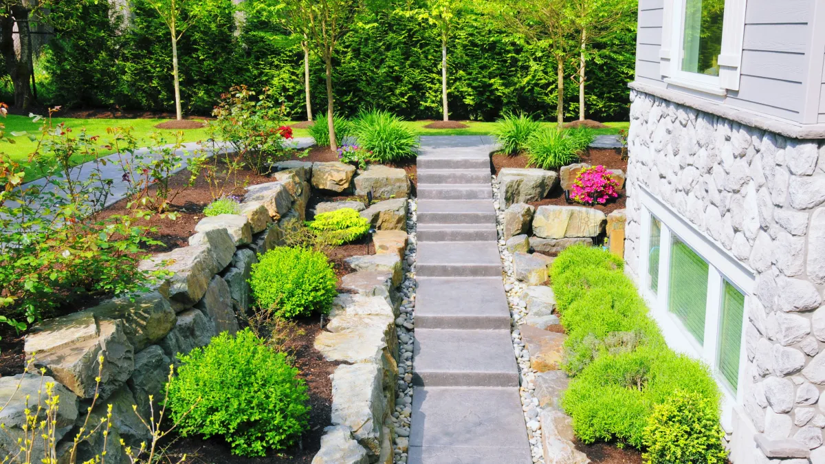 Stone pathway with lush plants and garden beds - Perfect Trim Lawn & Landscaping - landscape design services in Antioch