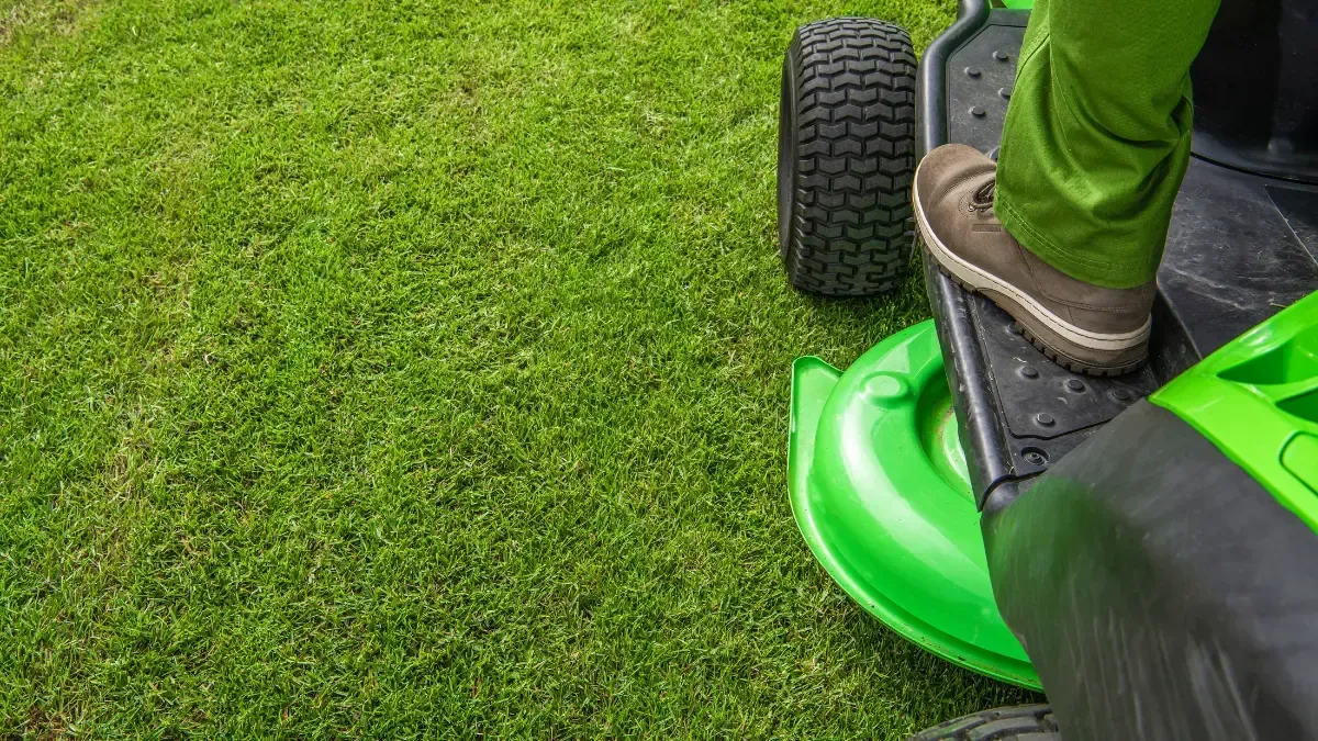 Green riding lawn mower trimming residential grass - Perfect Trim Lawn & Landscaping - lawn mowing services - Antioch