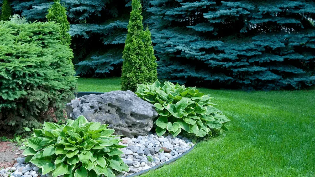 affordable lawn maintenance and landscaping - Perfect Trim Lawn and Landscaping