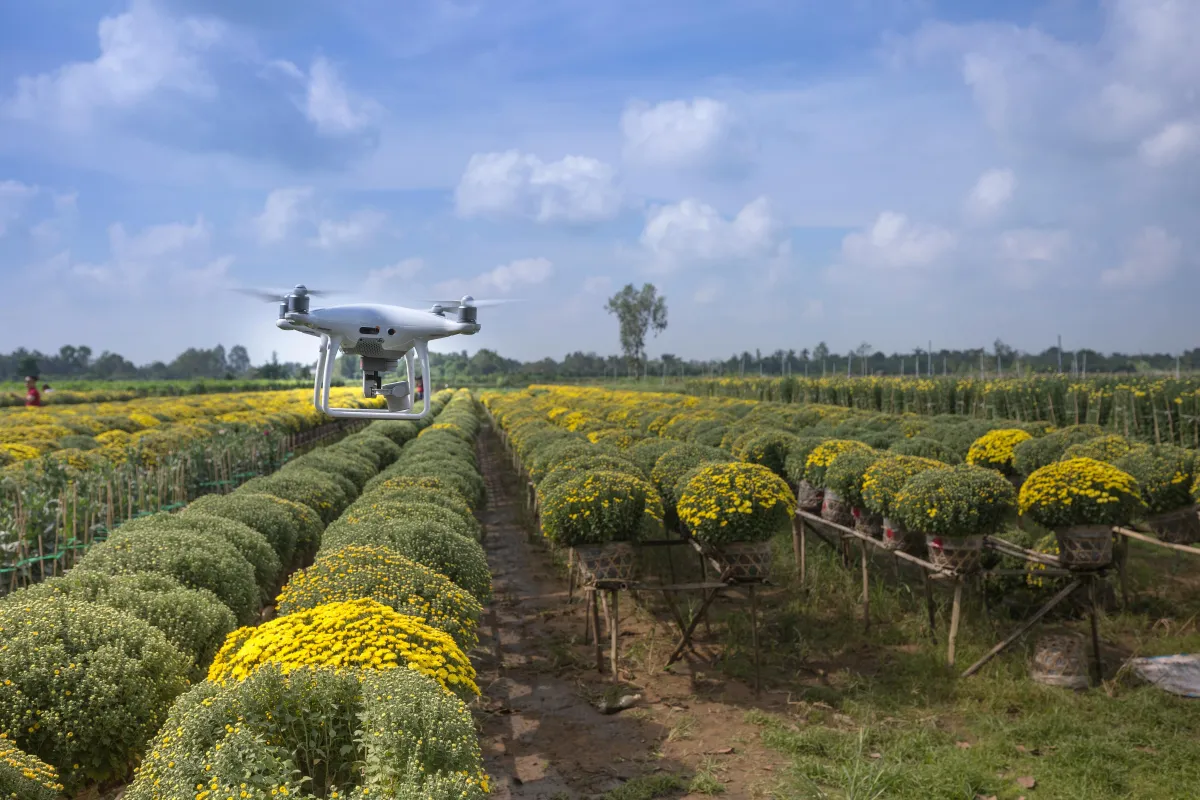 programa melipona empresarial   abejas meliponas México   conservación melipona con impacto social   agricultura sostenible México   generadores de agua del aire   tecnología agrícola con drones   acceso al agua potable rural   agricultura de precisión Veracruz / Chiapas / Puebla
