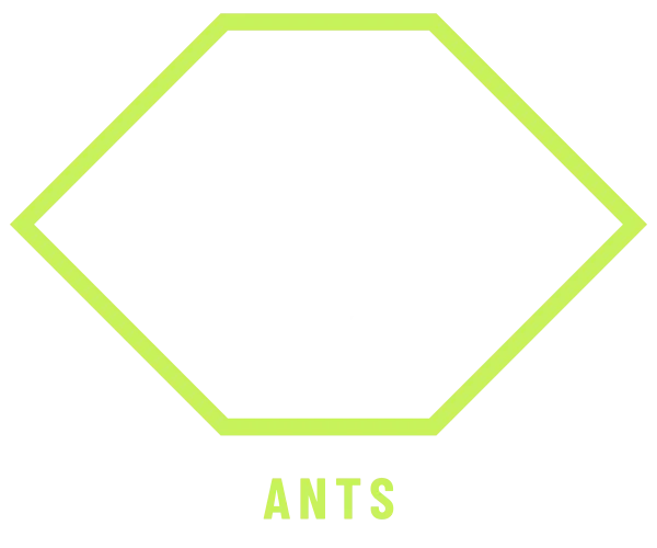 Ant control