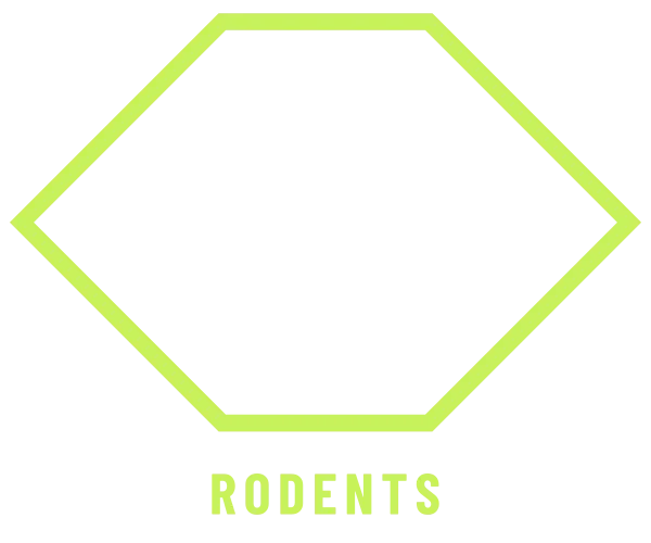 Rodent control