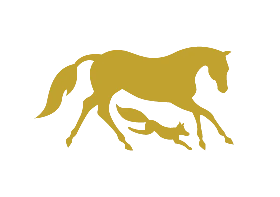 SFR Equestrian special usage logo within the Stratford-Fox Run branded house system
