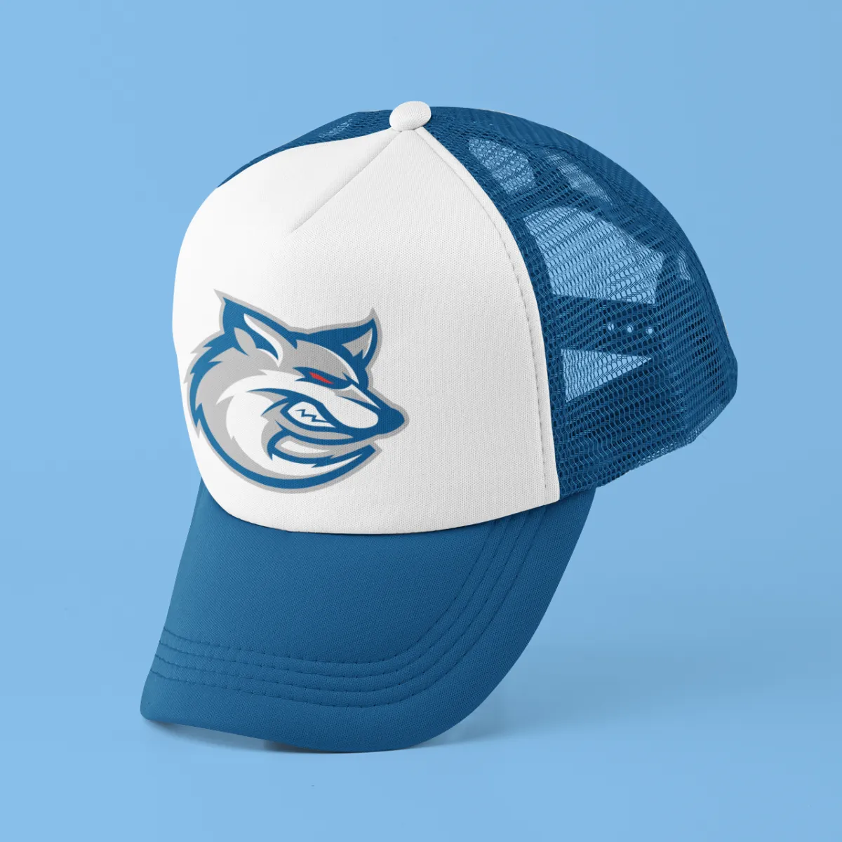 Eastern Shore Consolidated Mascot Coyote hat design