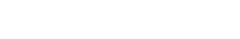 BigNERD Solutions Inc. Logo