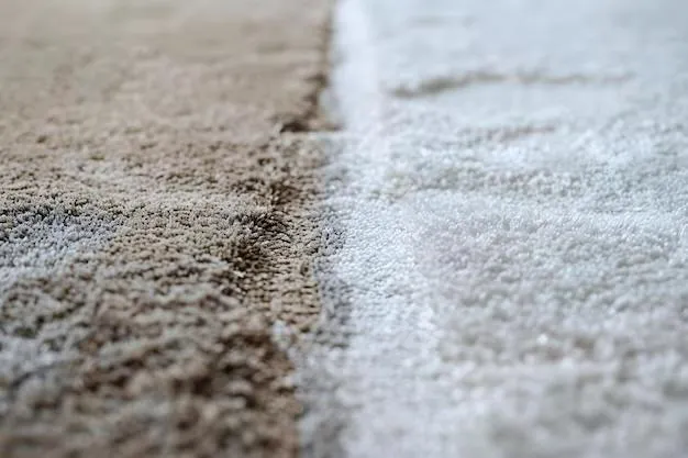Carpet Restoration in Overland Park