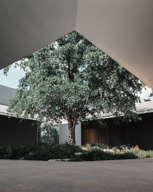 Pryor, OK Consulting Arborist Reports