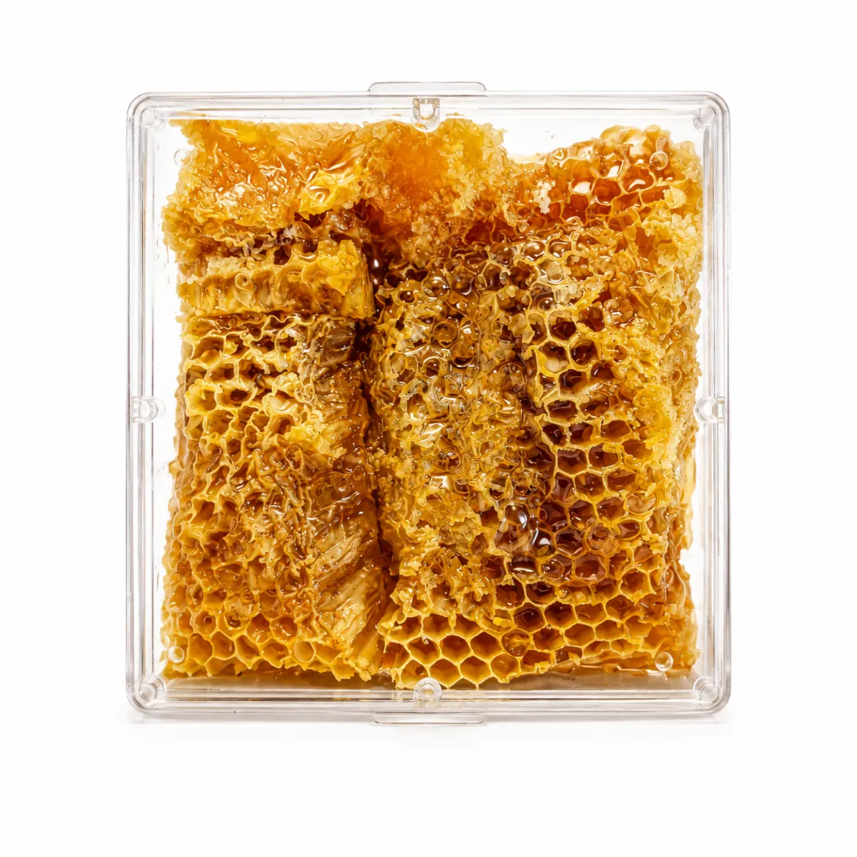 Close up of raw honeycomb glowing in warm sunlight