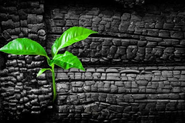 How to Rebuild Your Life from Burnout: Recovery System Guide