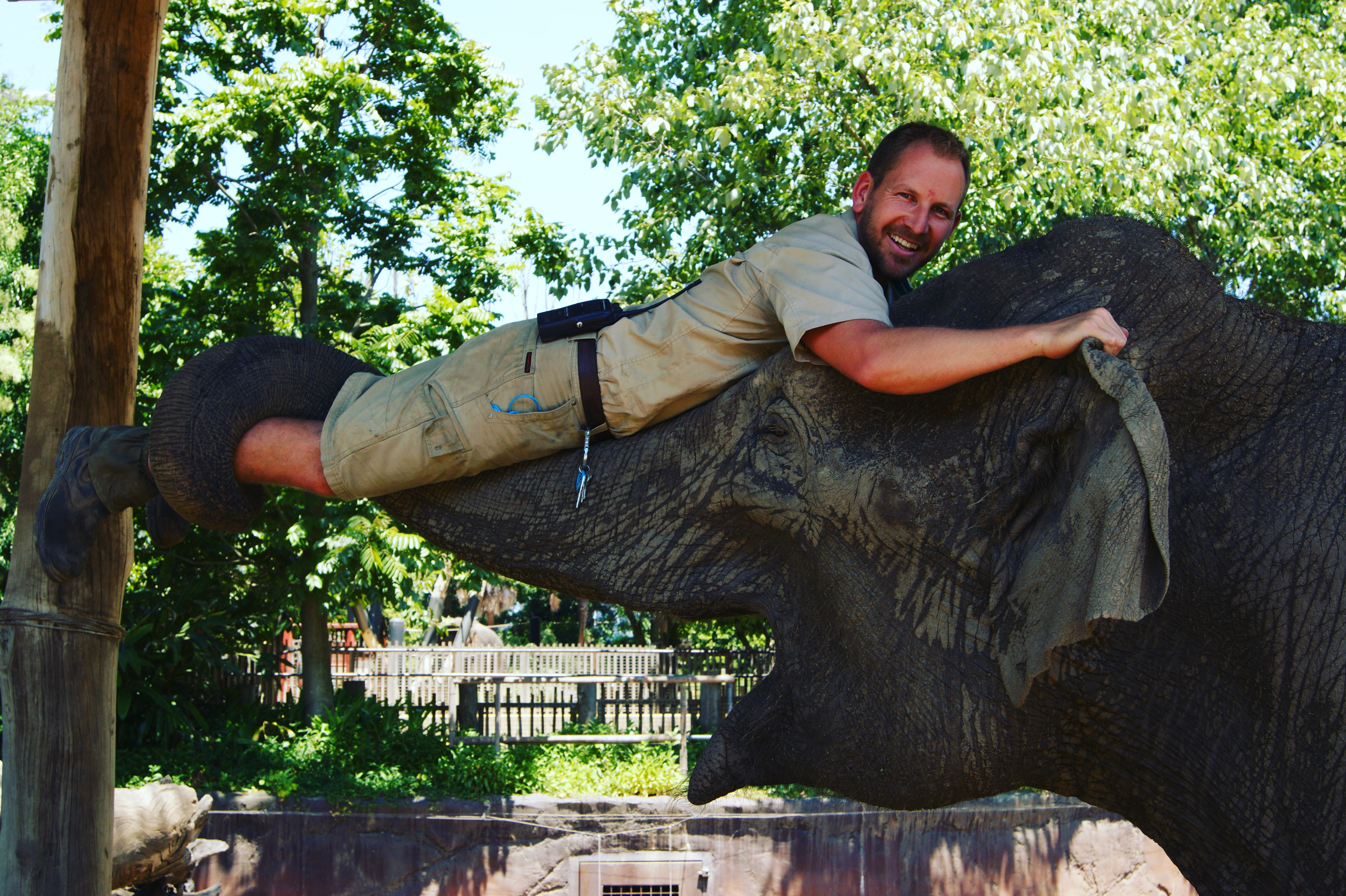 What an Old Elephant Taught Me About Health Coaching