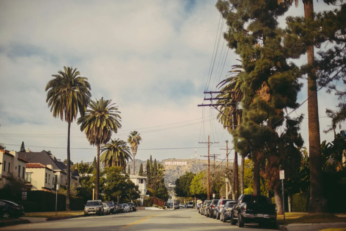 Palm-lined residential street in a Ventura County neighborhood