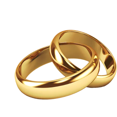 gold wedding rings | Bellevue Wedding Photogapher | Edward Dose Photograpy