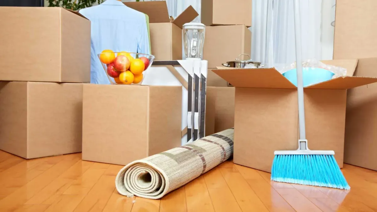 Vionix group cleaning services