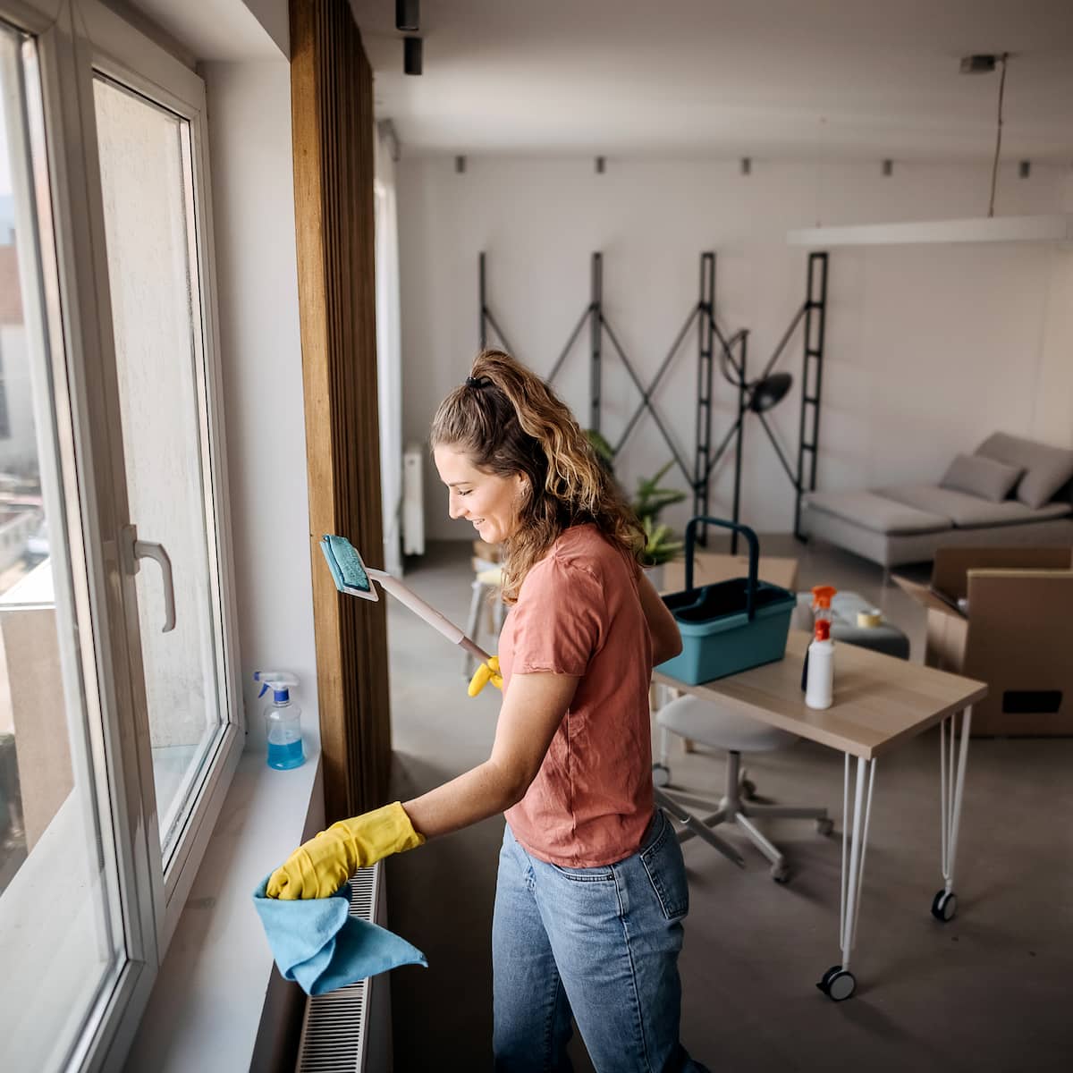 vionix group cleaning services