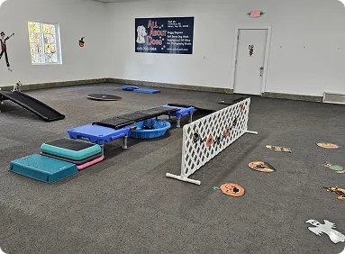Spacious indoor dog daycare play area