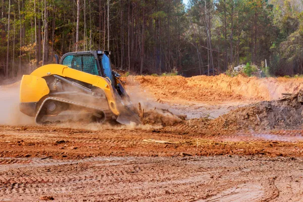 Land Clearing in