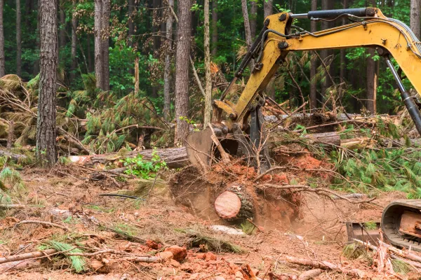 Land Clearing in