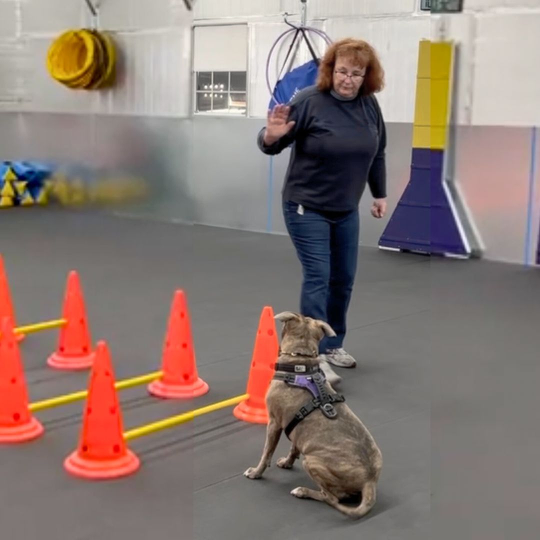 KCK's Shinning Star of the Month