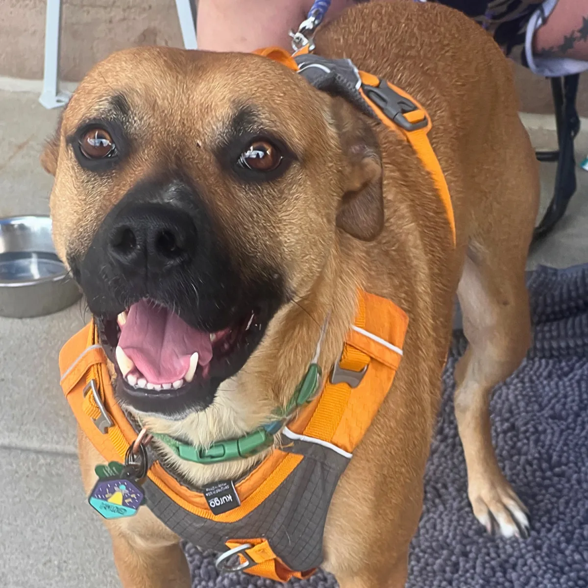 KCK's Dog of the Month