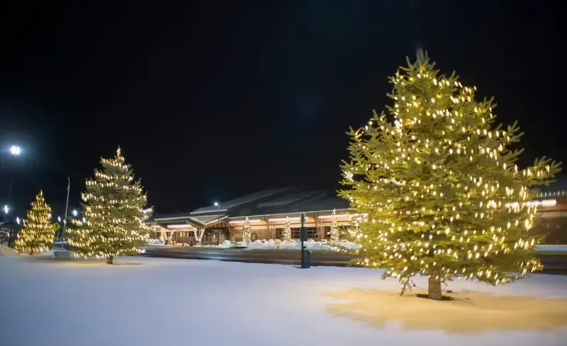 Commercial Holiday Lights Installation