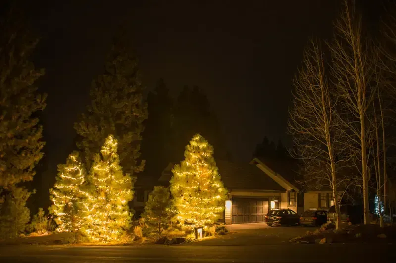 Commercial Holiday Lights Installation