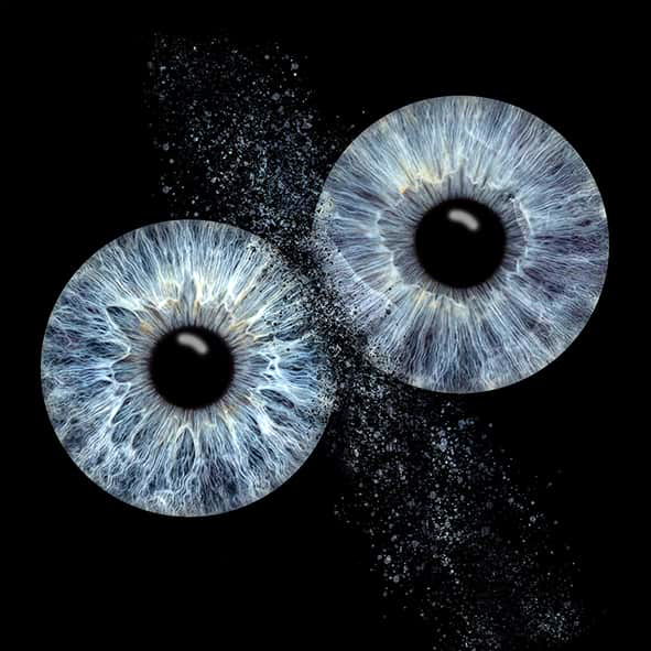 Nahaufnahme mehrerer Iris-Kunstwerke in ruhiger, heller Umgebung