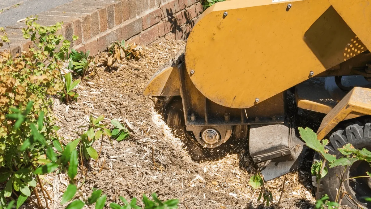 Stump Grinding