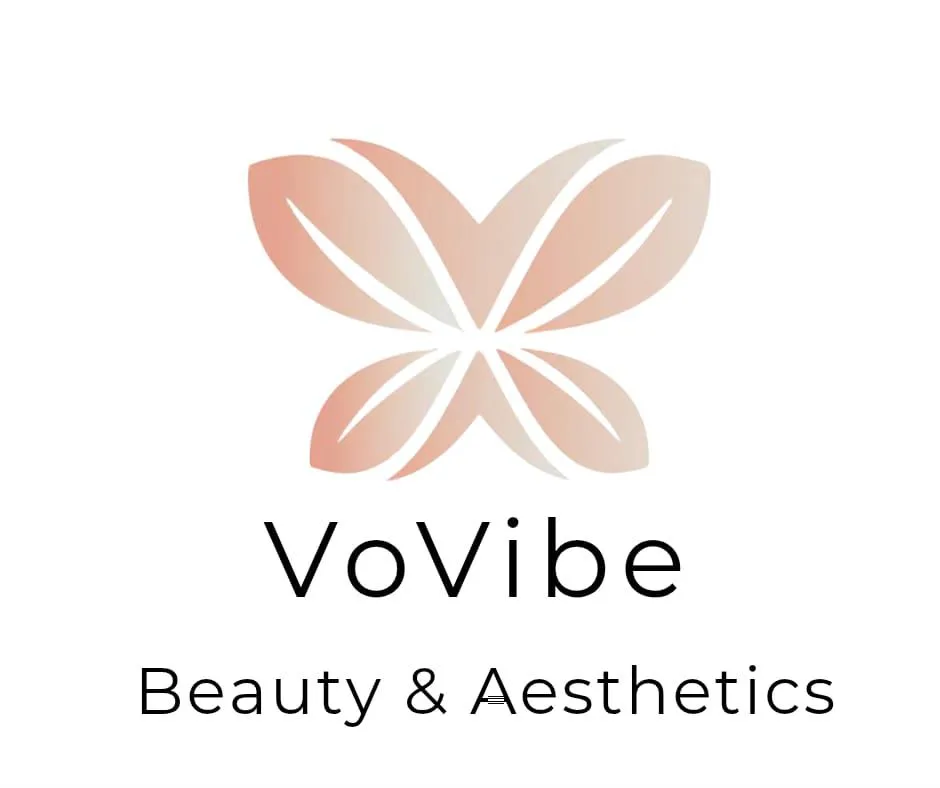 Digital header menu featuring Home, Services, Blog, and Contact Us for Vovibe Beaty & Aesthetics.