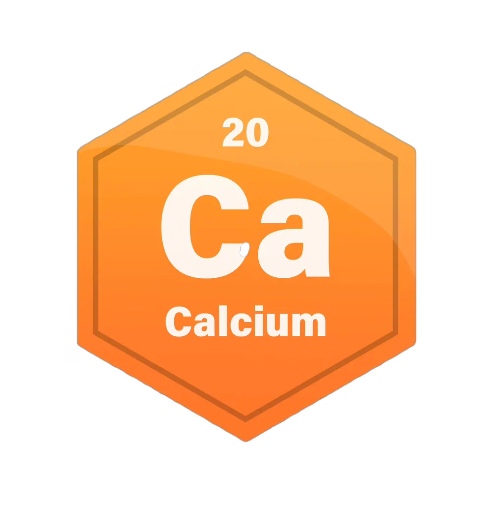 calcium for children