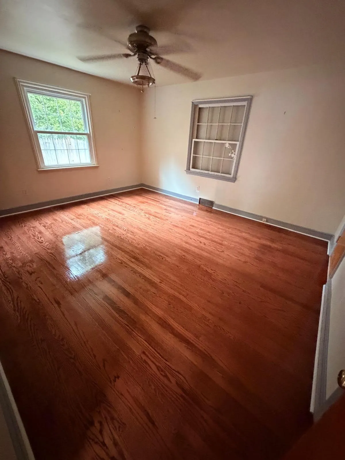 Basement Renovations in 