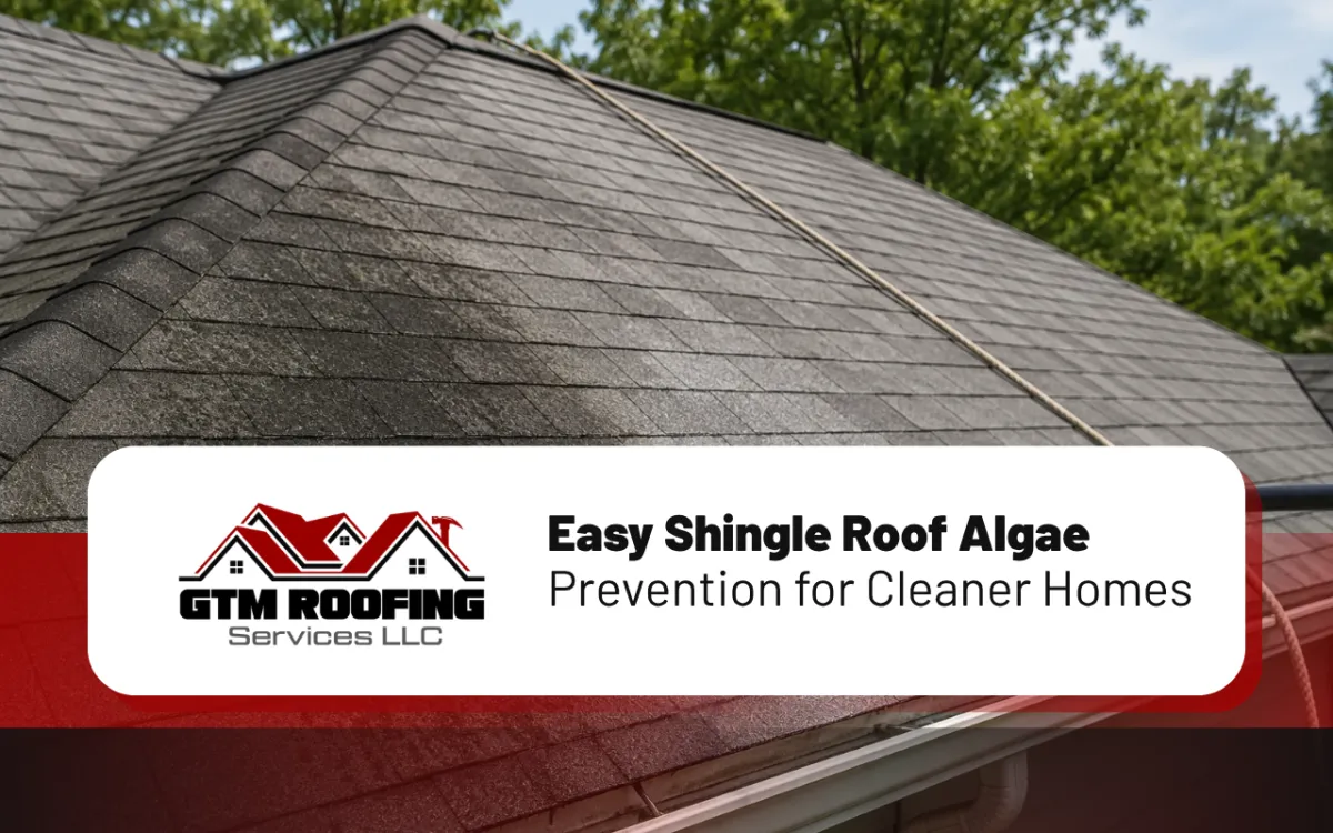 Shingle roof algae prevention for dark streaks on asphalt shingles