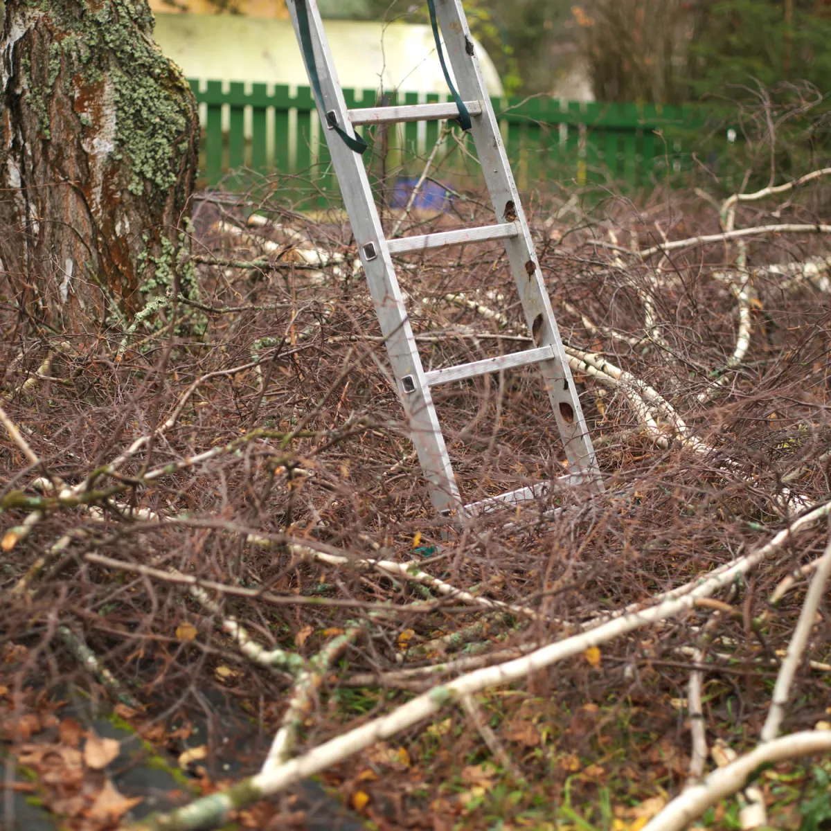 Fairfield Emergency Tree Service