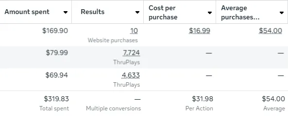 Meta Ads Results