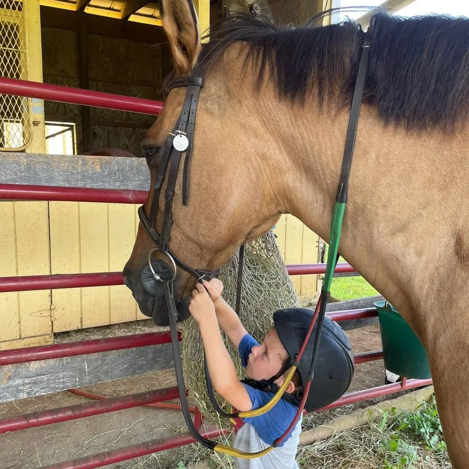 a green field with a blue sky in the background