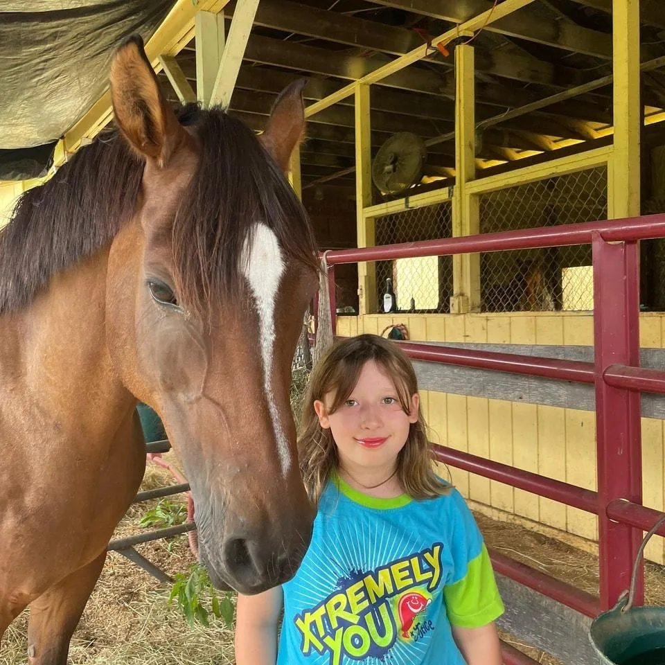 a forest filled with lots of trees and plants