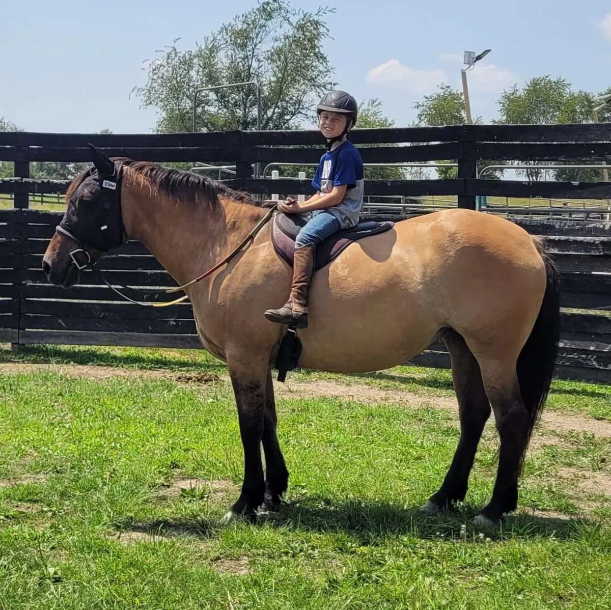 man in red jacket riding black horse on road during daytime