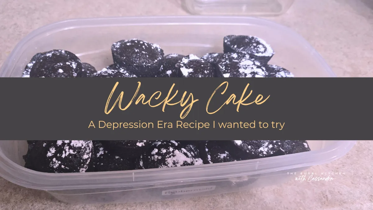 Wacky Cake made into Cupcakes for last day of School - Chocolately and delicious