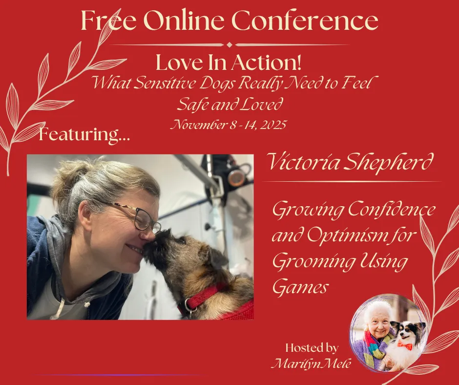 Love in Action What Sensitive Dogs Really Need