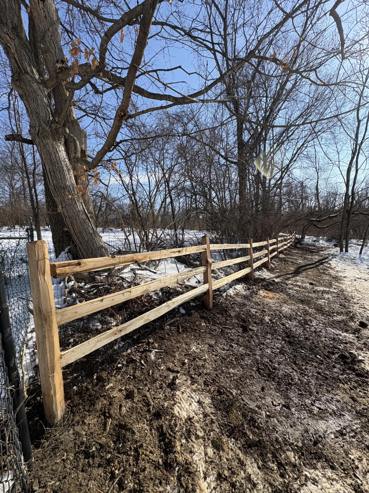 Fence Removal