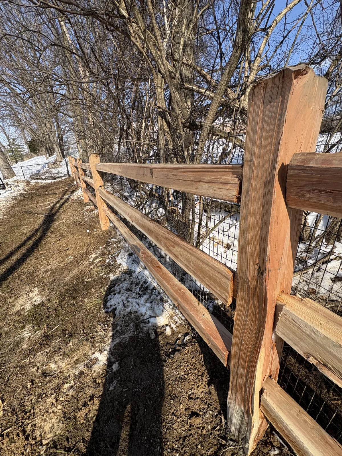 Fence Removal