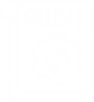 Website SEO audit icon for digital marketing analysis of contractor online presence and visibility