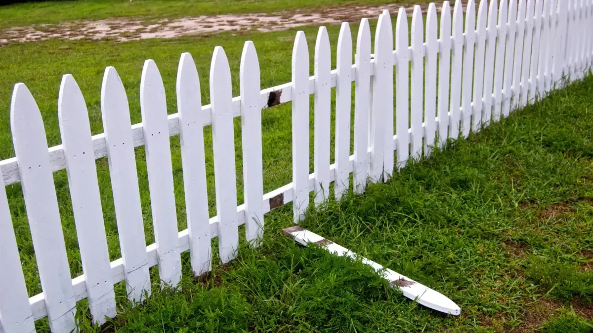 Fence repair 3