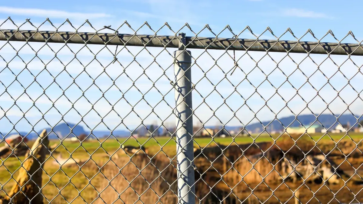 Chain Link Fence 1