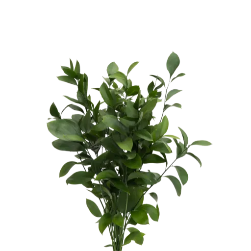 support for women experiencing rheumatoid arthritis