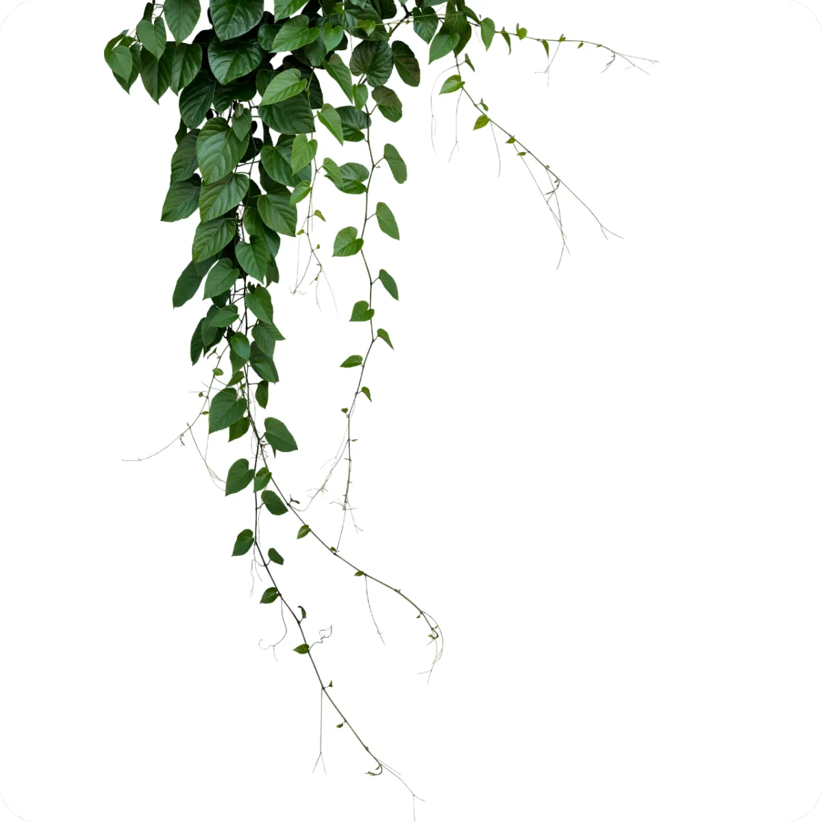 support for women experiencing rheumatoid arthritis