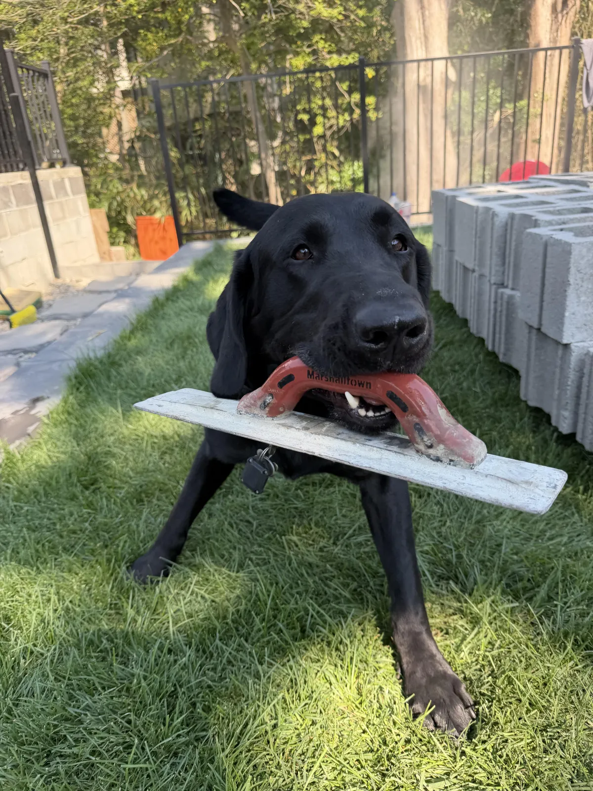 Why Hiring One Company for Lawn, Pool, and Hardscaping Services Can Save South Jersey Homeowners Thousands