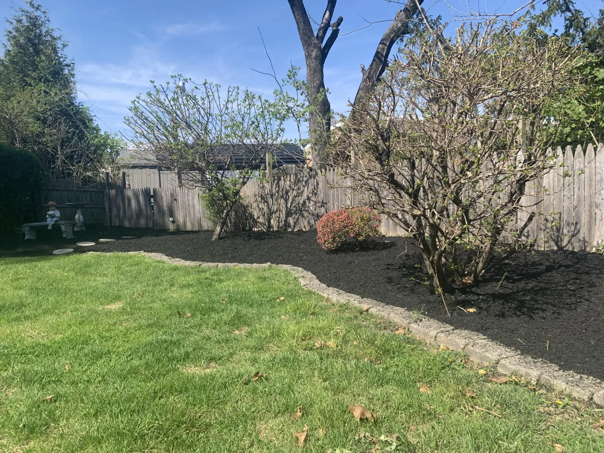 The Real Difference Between Budget Mulch Applications and Professional Landscape Installations
